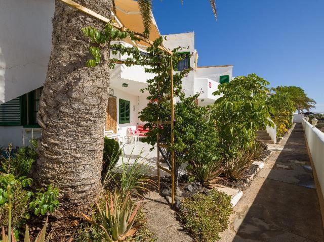 Apartamento Nire Lula En La Misma Playa Cotillo 외부 사진